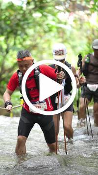 BIB:  <button type="button" onclick="openModal(26820930)" class="btn btn-primary btn-sm float-right" data-toggle="modal" data-target=".modal-high-quality">
                <i class="fa fa-download"></i> Download
                </button>